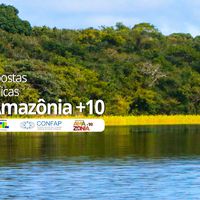 Amazônia+10