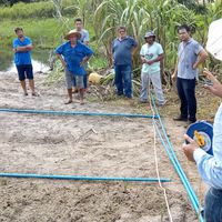 Professores do Campus Avançado Diamantino realizam visita técnica em propriedade de agricultores da Associação CEIBA na agrovila Caeté