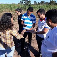 Docentes do Campus Avançado Diamantino fazem visita técnica no assentamento Caeté